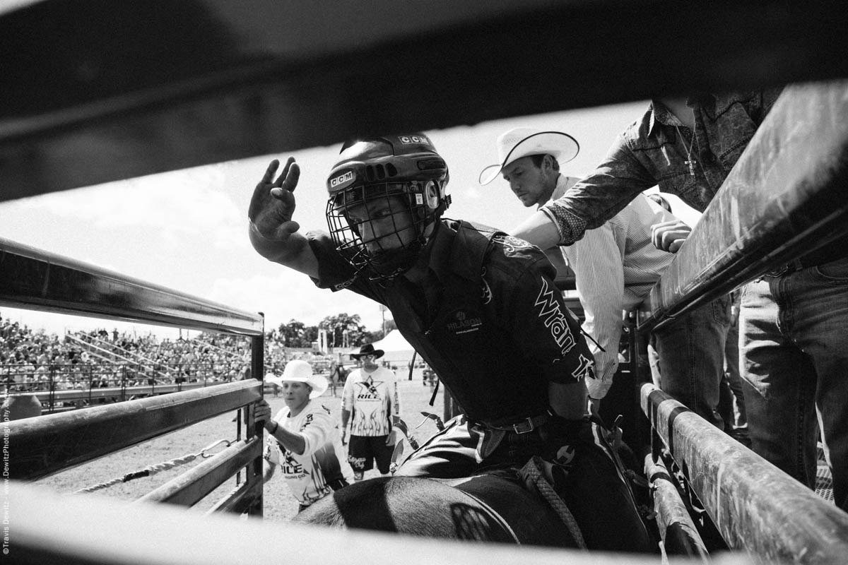 Bull Rider Exits Chute Hand Up-3116